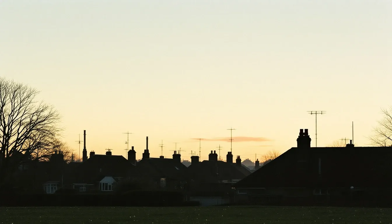 Suburban rooflines seen from across a park at dawn, chimneys and antennas silhouetted against a pale sky.